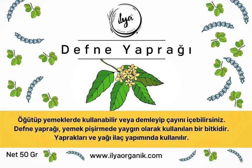 Defne Yaprağı 40 Gr.